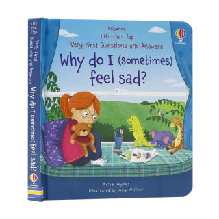 Usborne问与答系列立体翻翻书为什么我有时候会伤心 Why do I sometimes feel sad 英文原版儿童情绪管理纸板书机关书启蒙英语读本