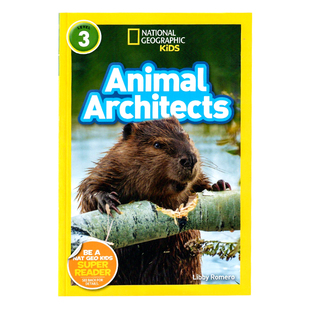 National Geographic Readers level 3 Animal Architects 动物建筑师 英文原版绘本 美国国家地理分级阅读读物全彩版儿童百科书