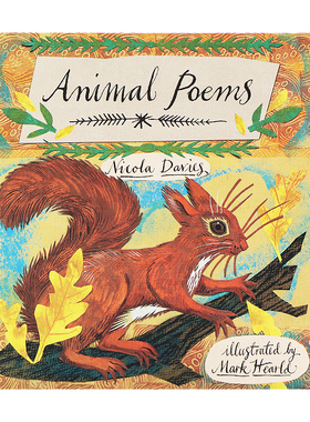动物之诗 英文原版 Animal Poems: Give Me Instead of a Card 礼物 Nicola Davies 精美动物植物绘本 口袋诗歌册子 内含信封