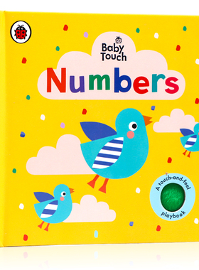 Baby Touch Numbers 数字启蒙认知触摸书 英文原版绘本 ladybird小瓢虫出版大开纸板玩玩书撕不烂0-1-2-3岁宝宝开拓思维 感官训练