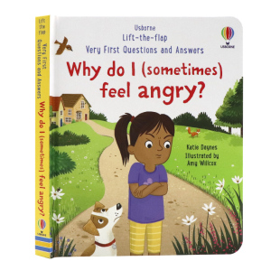 angry Usborne问与答系列立体翻翻书为什么我有时候会生气 feel sometimes 英文原版 Why 英语绘本 幼儿童情绪管理纸板机关书