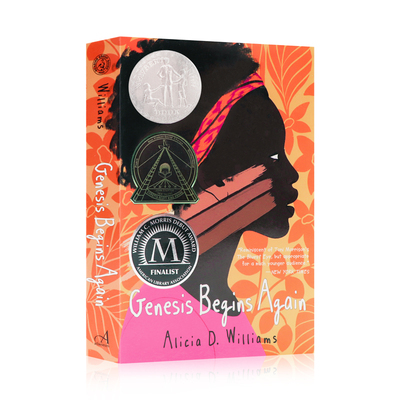 吉妮西丝的清单英文原版小说