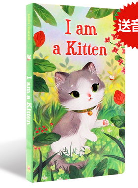 英文原版绘本I Am a Kitten 我是一只小猫  I am a bunny同系列名家 richard scarry 幼儿童早教纸板书 色彩丰富0-3岁启蒙英语阅读