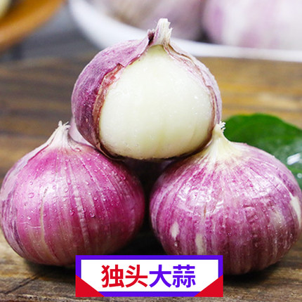 云南大理紫皮大蒜独头蒜5斤农家大蒜头红皮干蒜出口级自种大蒜