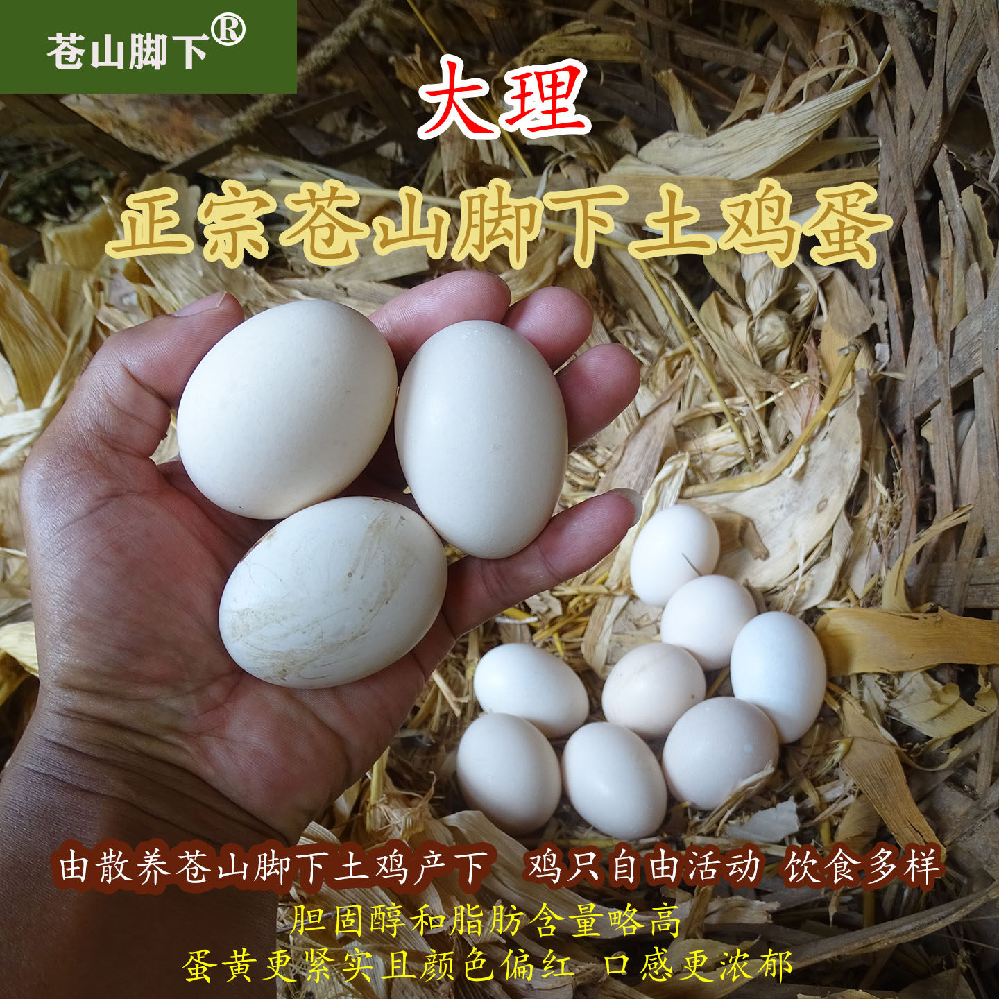苍山脚下土鸡蛋