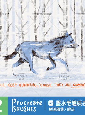 【毛笔漫画墨水】procreate笔刷复古勾线插画粗糙干介质ipadST30