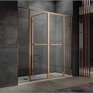 极窄边框不锈钢整体浴室简易屏风干湿分离隔断钢化玻璃金色淋浴房