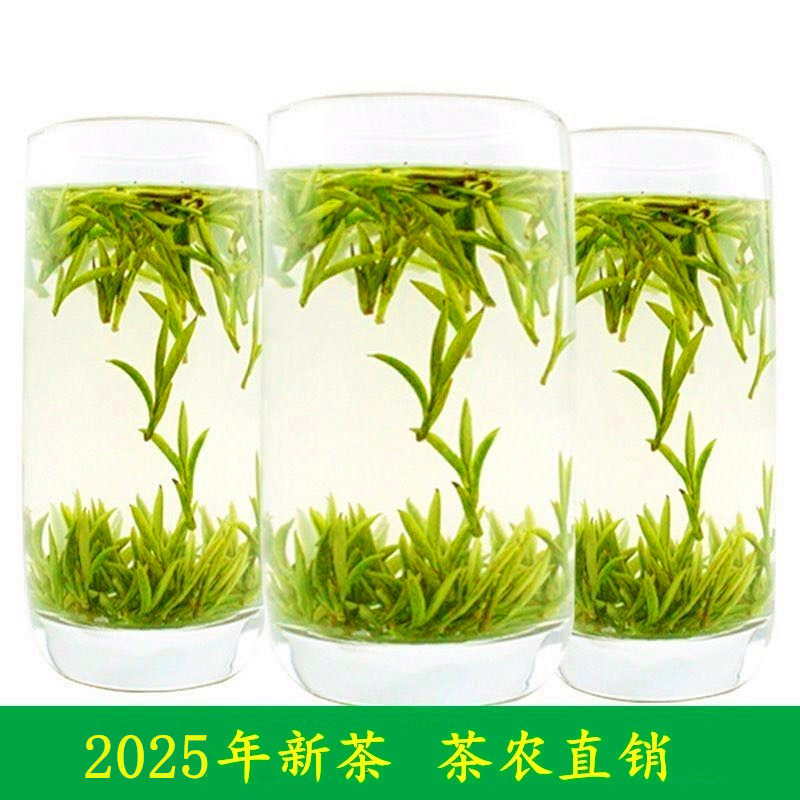 霍山原产地黄芽2026明前新茶 安徽春茶高山黄茶黄牙250g包邮