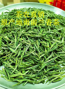 2026年新茶 安徽泾县原产地雨前兰香茶叶 汀溪高山茶茶农直销