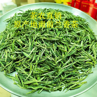 2025年新茶 安徽泾县原产地雨前兰香茶叶 汀溪高山茶茶农直销