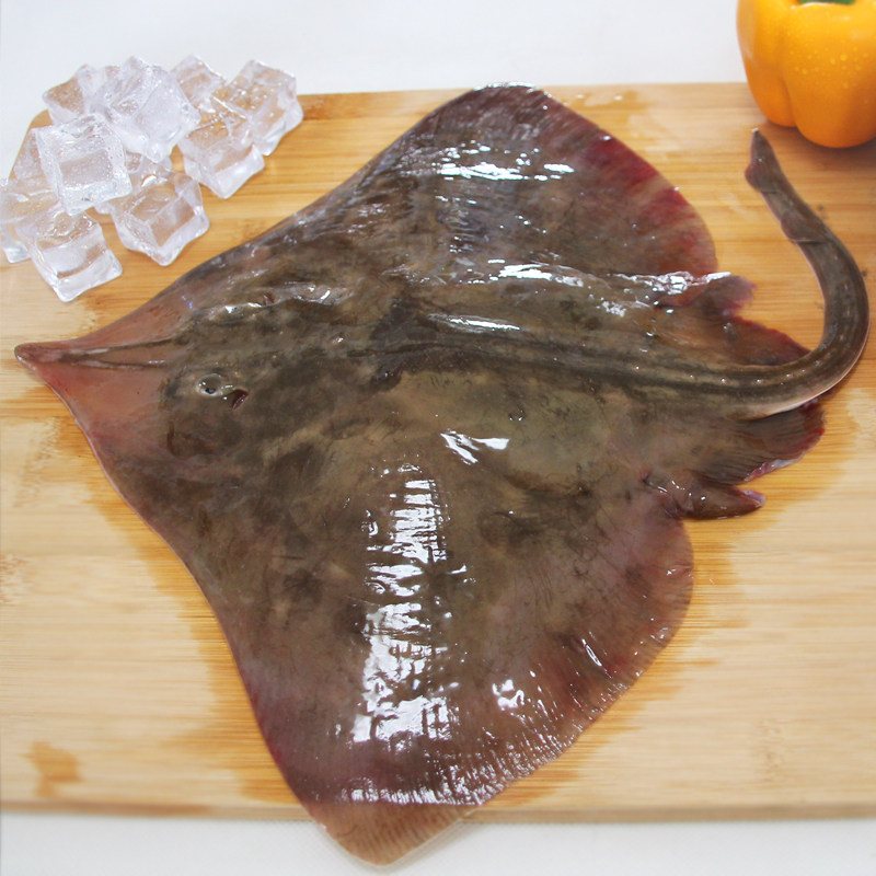 海捕老板鱼无刺无骨肉质鲜美深海鱼鳐鱼孕妇宝宝辅食营养丰富