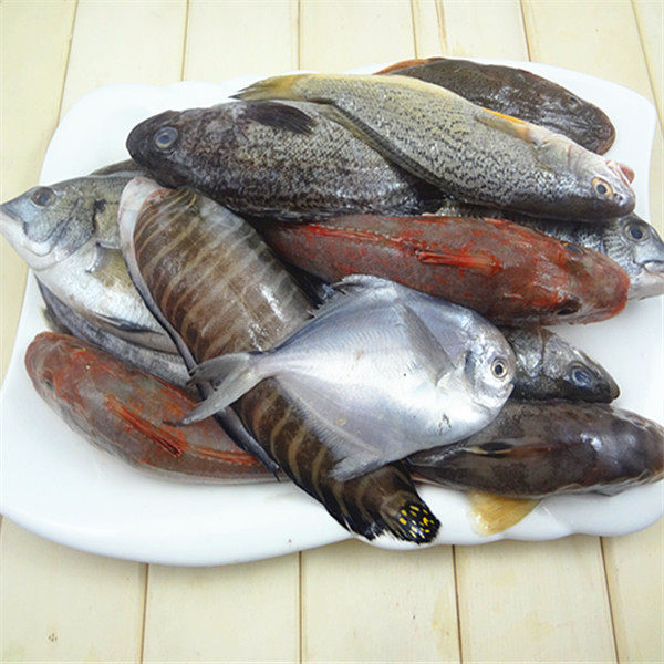 味道鲜美 海杂鱼 新鲜速冻海杂鱼 海鲜 深海鱼 水产 速冻杂鱼