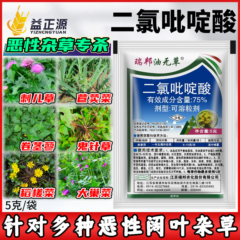 75%二氯吡啶酸 油菜田阔叶杂草玉米苗小麦刺儿菜药材草坪除草剂