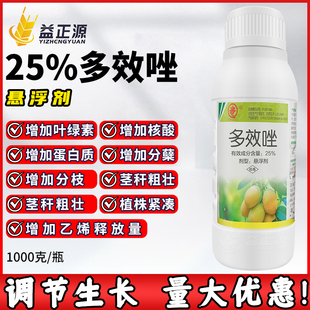 25%多效唑多效挫芒果树控梢控旺药调壮素抑制徒长增产生长调节剂