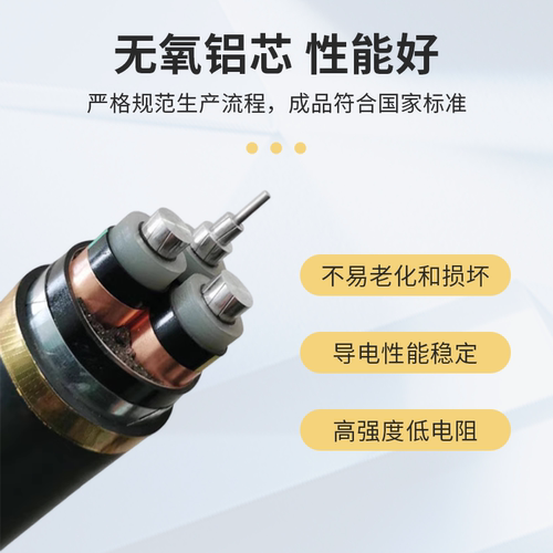 10kv高压铝芯电缆线YJLV22YJV22