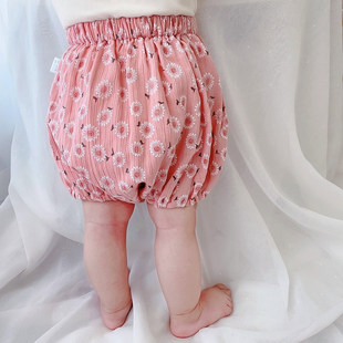 外穿太阳花纯棉薄款 夏季 透气小童宝宝大PP裤 灯笼裤 花苞裤 婴儿短裤