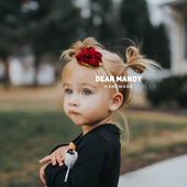 ins手工金丝绒花朵婴儿发带女宝宝儿童女孩公主欧美周岁头花头饰