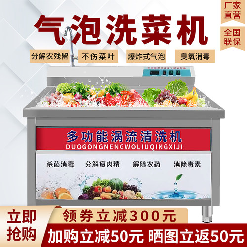 全自动洗菜机商用果蔬气泡清洗机
