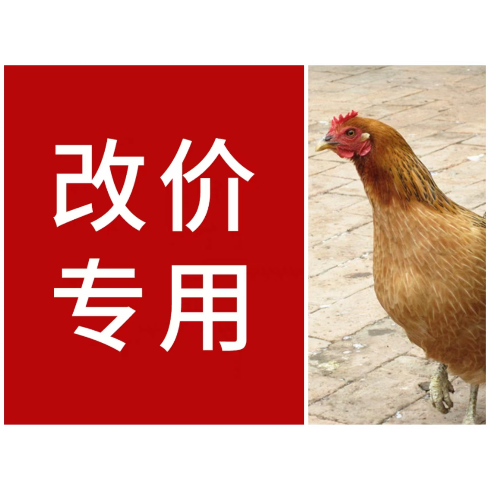现场称重新鲜公鸡肉[生鲜下单坏了包赔]
