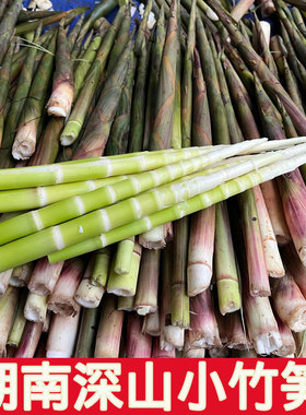 现摘小竹笋5斤湖南新鲜装带壳蔬菜现挖野生毛竹笋小春笋3斤水竹笋