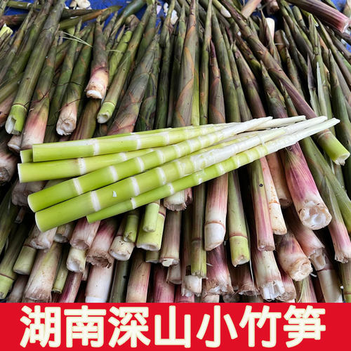 现摘小竹笋5斤湖南新鲜装带壳蔬菜现挖野生毛竹笋小春笋3斤水竹笋