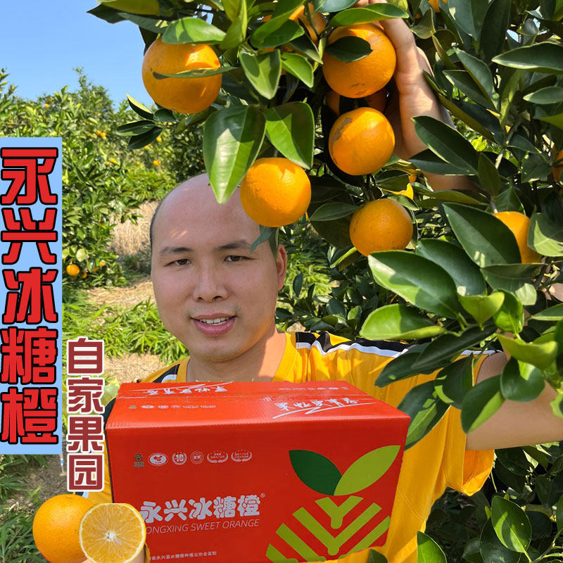 正宗永兴冰糖橙湖南郴州特产自家新鲜当季甜橙现摘纯超甜橙子水果,水产肉类/新鲜蔬果/熟食,橙,淘宝优惠券,粉丝福利购,淘宝优惠卷