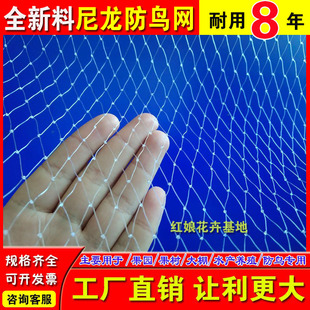 大棚尼龙线防鸟网养殖天网葡萄园樱桃园果园果树防鸟用网鱼塘丝网