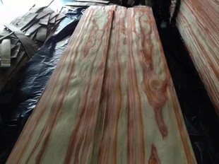 进口天然郁金香木皮高定家具木皮郁金香直纹木皮