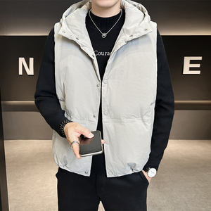 (新标95绒）羽绒马甲男冬季2025背心坎肩外套男B320-85921-P185图片