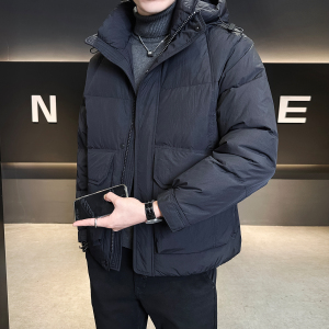 标50绒 连帽羽绒服男士2025新款冬季外套男装B320-6638-P245图片