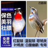 西蜀堂手工亮羽保色靛颏鸟食叶鹎白腹幽鹛嗜虫鸟鸟食提升大唱饲料