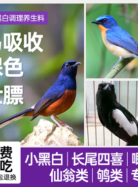 西蜀堂小黑白鸟食北红鸟饲料营养壮膘嗜虫杂鸟饲料仙翁长尾饲料