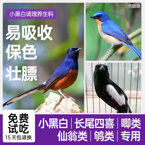 西蜀堂小黑白鸟食北红鸟饲料营养壮膘嗜虫杂鸟饲料仙翁长尾饲料 - 封面
