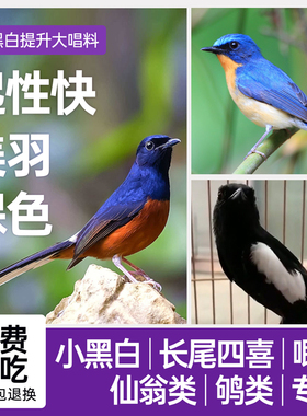西蜀堂小黑白鸟食手工嗜虫杂饲料提升大唱北红仙翁鸟食长尾鸟食