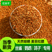 新红谷子鹦鹉鸟粮饲料虎皮牡丹鹦鹉粮玄凤鹦鹉专用粮鹦鹉鸟粮鸽粮