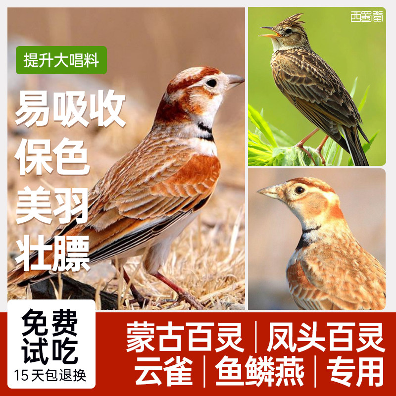 西蜀堂手工防起尖百灵云雀鸟食提升大唱料营养壮膘收毛百灵鸟饲料