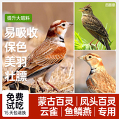 西蜀堂手工防起尖百灵云雀鸟食提升大唱料营养壮膘收毛百灵鸟饲料