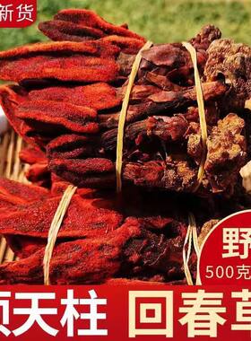 云南深山采摘会春草不老草顶天住泡酒煲汤泡水温肾佳品起阳草包邮