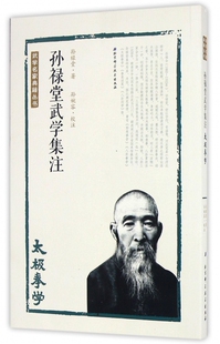 孙禄堂武学集注(太极拳学)/武学名家典籍丛书