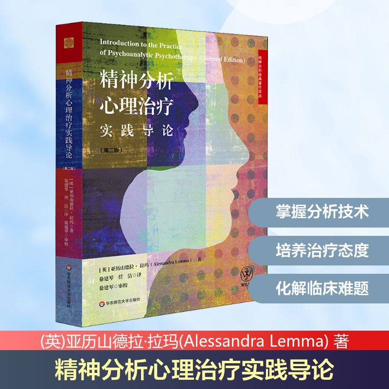 精神分析心理治疗实践导论