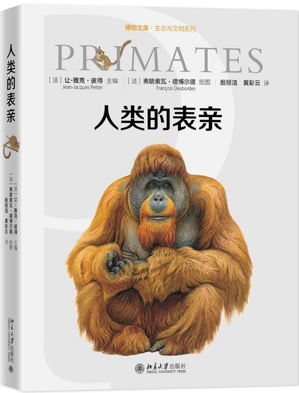 人类的表亲(精)/生态与文明系列/博物文库