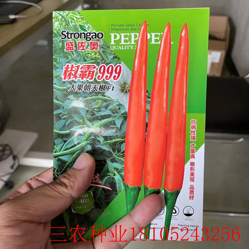 椒霸999大果朝天椒种子火辣辣椒中王者权御天下泰国娇美辣椒种子