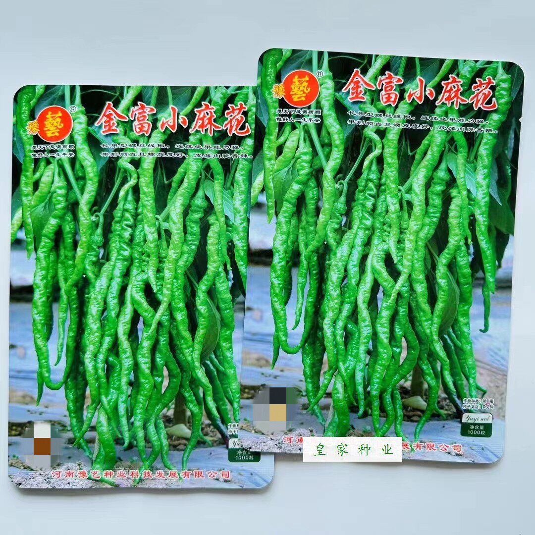 豫艺金富小麻花辣椒种子中早熟长果螺丝线椒种籽翠绿中辣薄皮肉脆