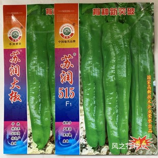 苏润大椒种籽苏润515润美700 早熟高产大果型 辣椒种子抗病大田种