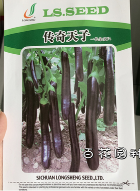 龙盛 传奇天子 茄子种子一代杂交F1紫色长茄籽种春秋两季种新品