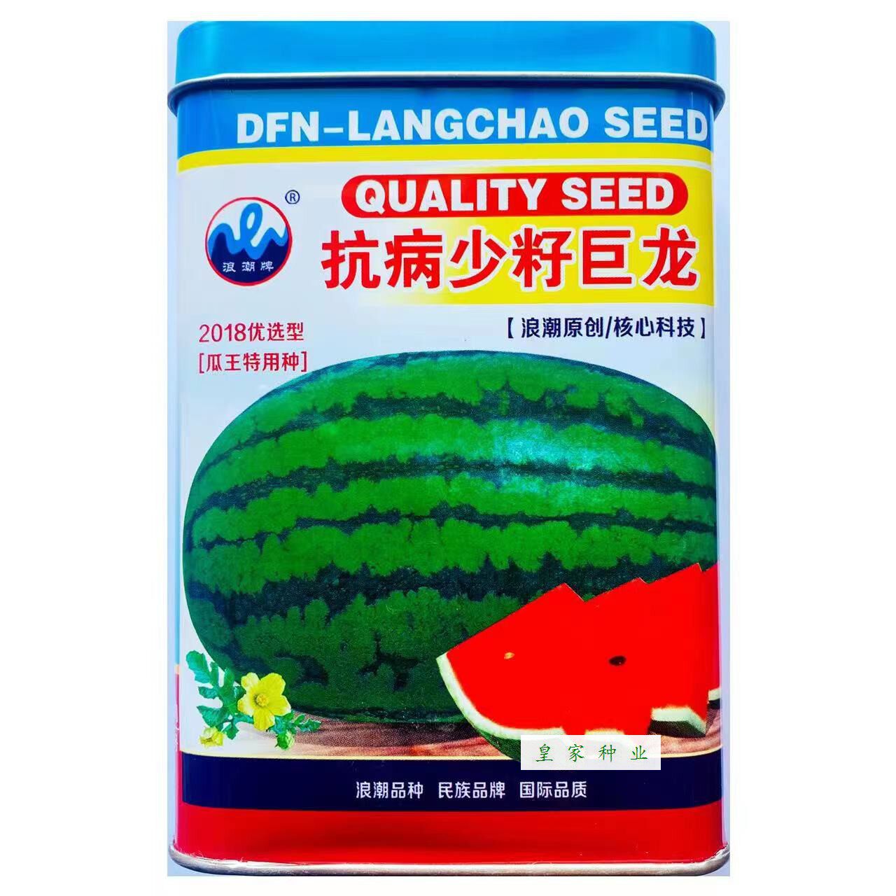 浪潮抗病少籽巨龙西瓜种子皮薄耐裂花皮大型水果特大红瓤西瓜种籽