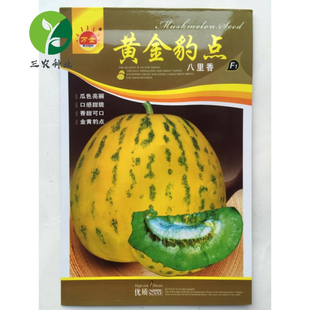 蔬菜种子黄金豹点八里香香瓜种子100粒