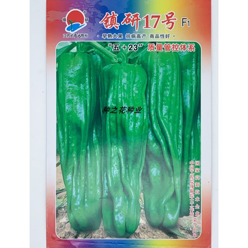 镇研17号辣椒种籽早熟高产春秋播大果薄皮泡椒种顺直长灯笼椒种子