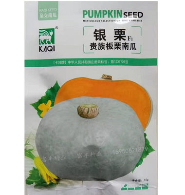 银栗南瓜种子银栗南瓜种子