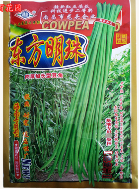 赣新东方明珠长豇豆种子菜农专用特抗热抗病嫩绿色肉厚长角豆种籽
